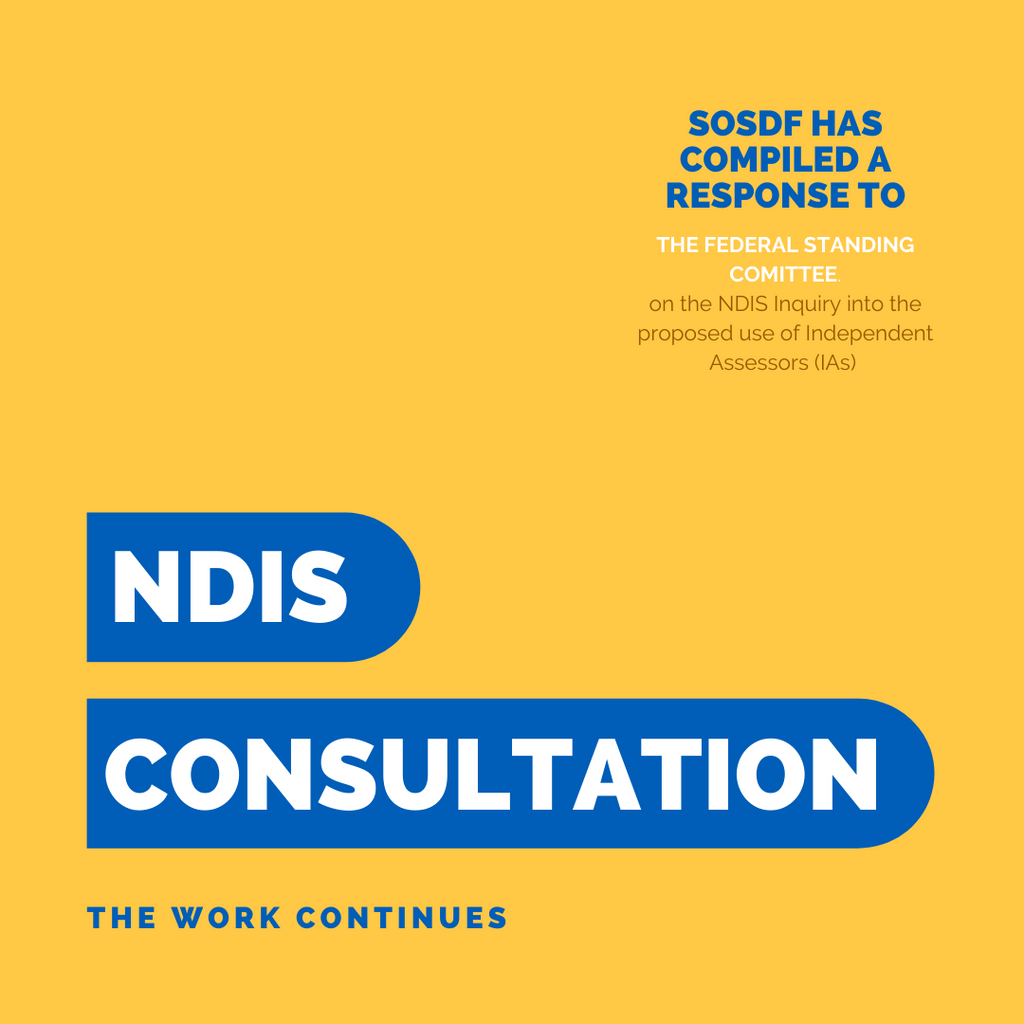 NDIS Consultation - the work continues: