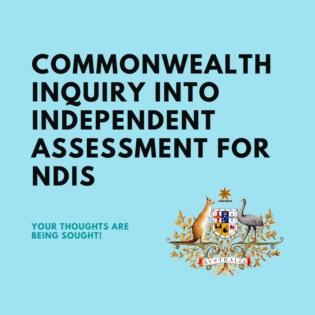 Commonwealth Inquiry into Independent Assessment For NDIS